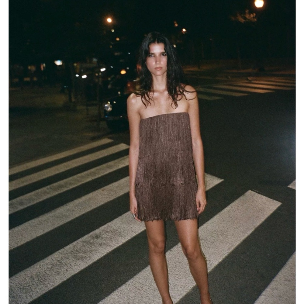 NEW Zara Strapless Fringe Mini Dress in Brown